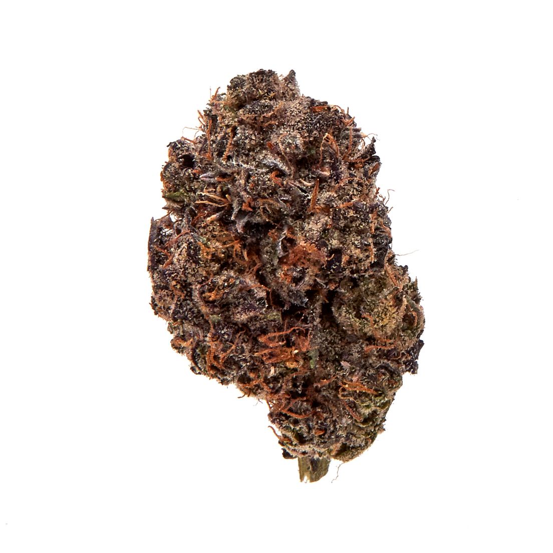 Adios MF Indoor Flower