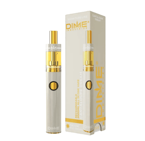 Dime AIO Disposable 1g - Cantaloupe Dream