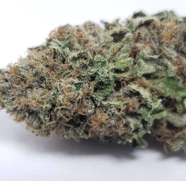 Candy Rainbow Sherbert - Green Sticker
