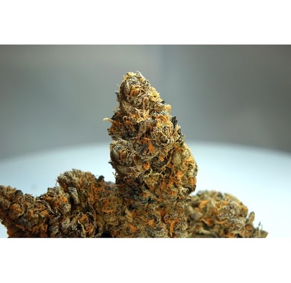 FRENCH COOKIES THC 30.22% 1/2 Ounce
