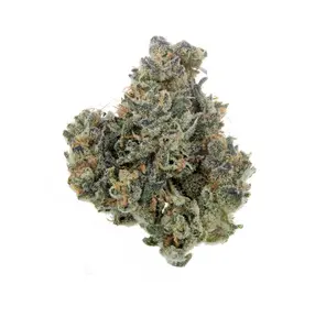 3.5G KUSH MINTS