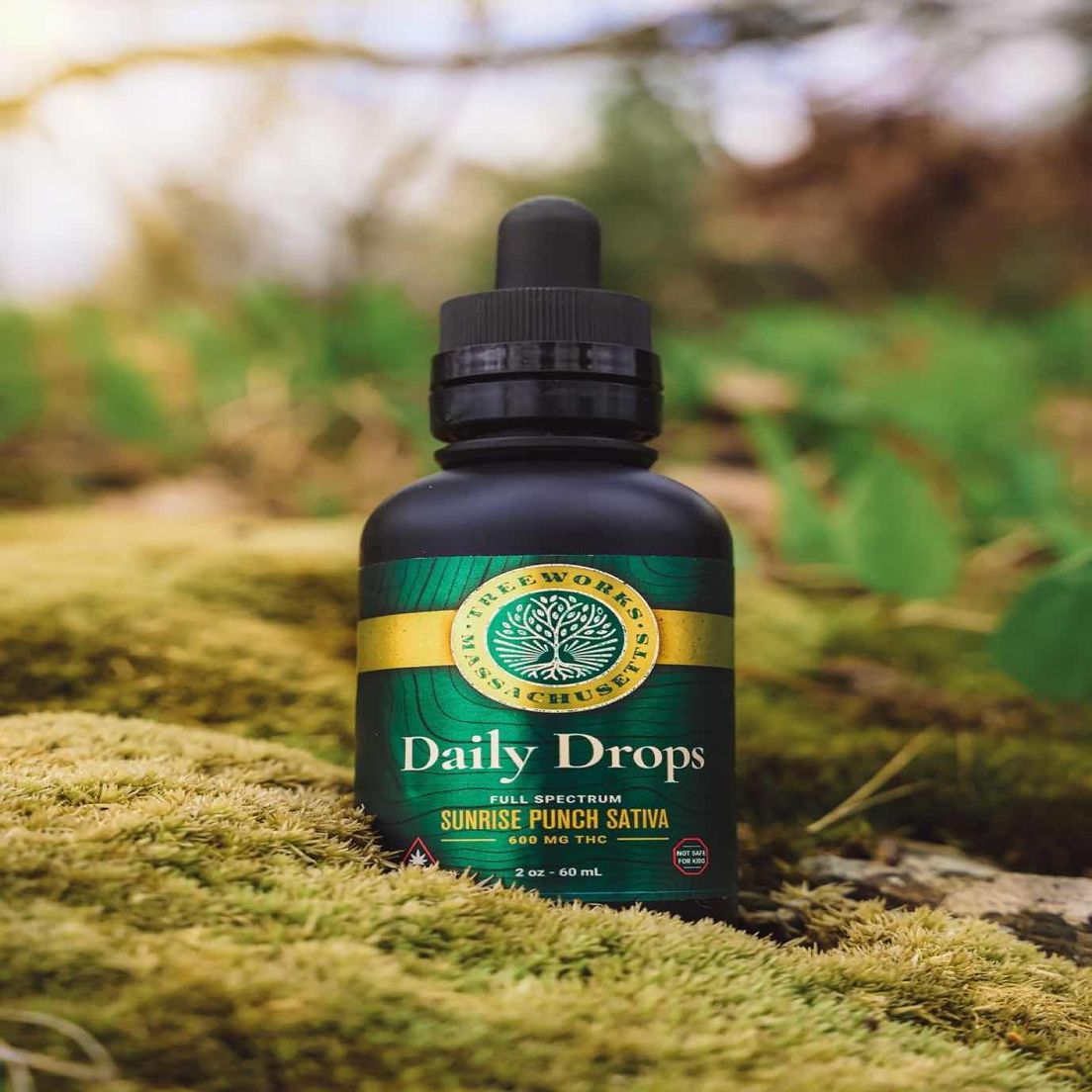 Daily Drops (S) | Lg 50 ml, 500 mg Tincture | Treeworks