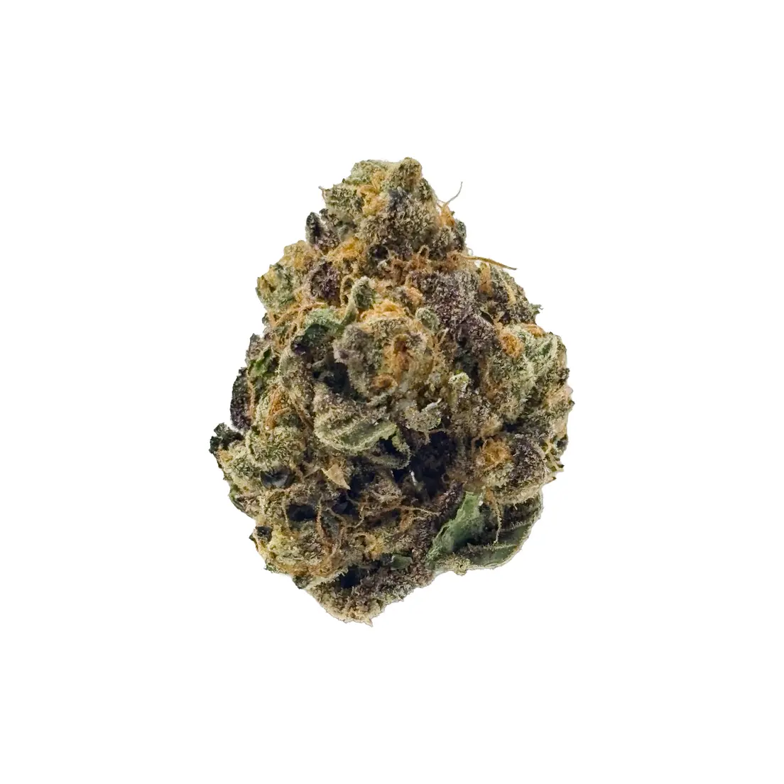 Caramel Cookies (Exotic)