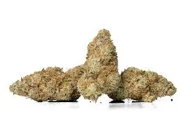Mohave Cannabis Co.: Mule Fuel $25