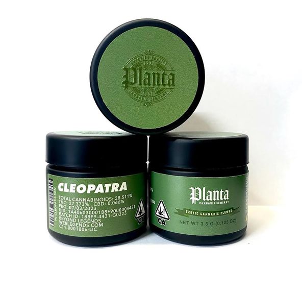 B. Planta Cannabis Company 3.5g Flower - Quality 9.5/10 - Cleopatra