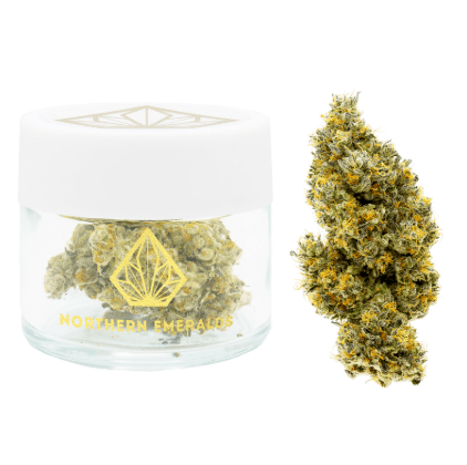NORTHERN EMERALDS BANANA GMO 3.5G INDOOR FLOWER 35%THC HYBRID