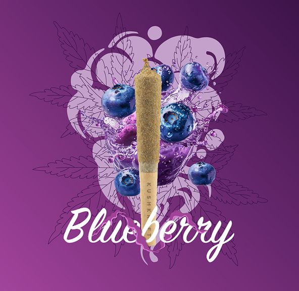 1 x 0.5g Infused Sticky Banger Pre-Roll Indica Blueberry Pie by KushKraft