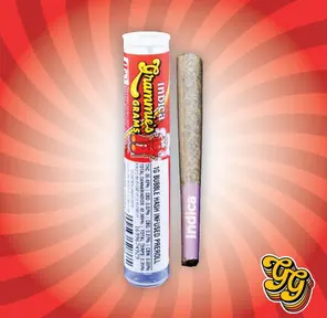 GRAMMIES GRAMS PAPAYA SPLASH BUBBLE HASH INFUSED PREROLL 1G