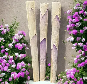 Dose - Platinum OG 1g Lotus Infused Pre-Roll