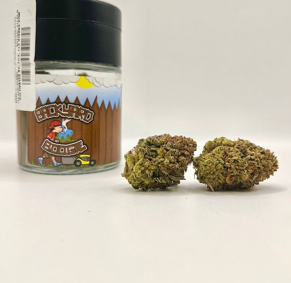 *Deal! $55 1/4 oz. Lemon Bars (36.14%/Indoor/Sativa) - Backyard Boogie