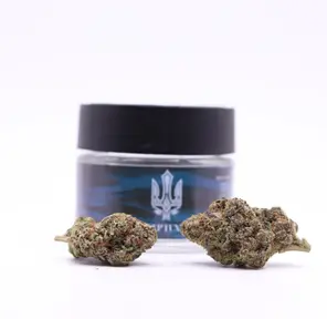 Neptune - BEST KEPT SECRET 3.5G