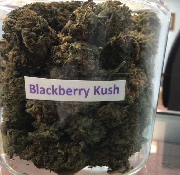 Blackberry Kush