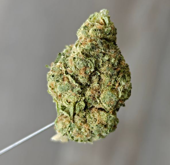 Zips - Rainbow Mintz 3.5g