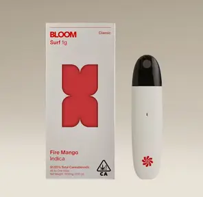 BLOOM: Classic Surf