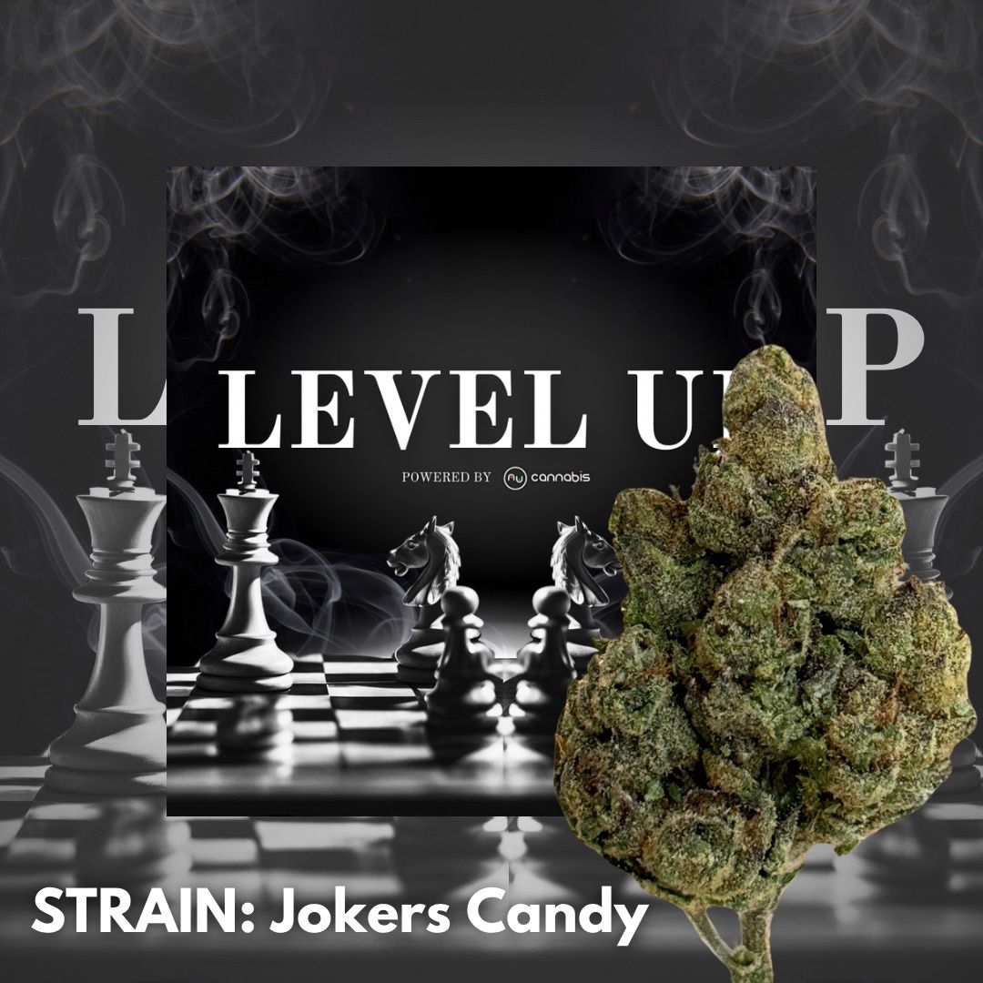 Level Up - Jokers Candy 14g - PREMIUM FLOWERS