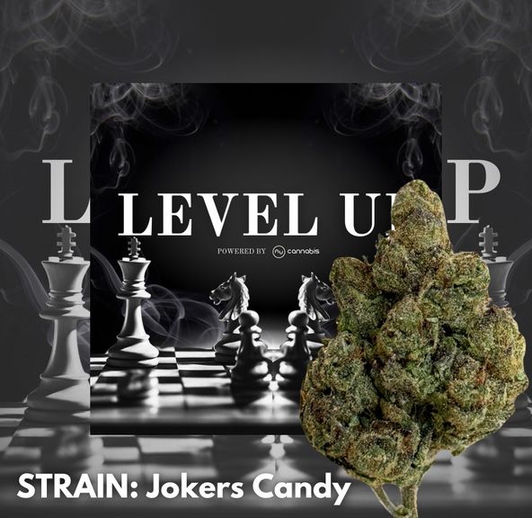 Level Up - Jokers Candy 14g - PREMIUM FLOWERS
