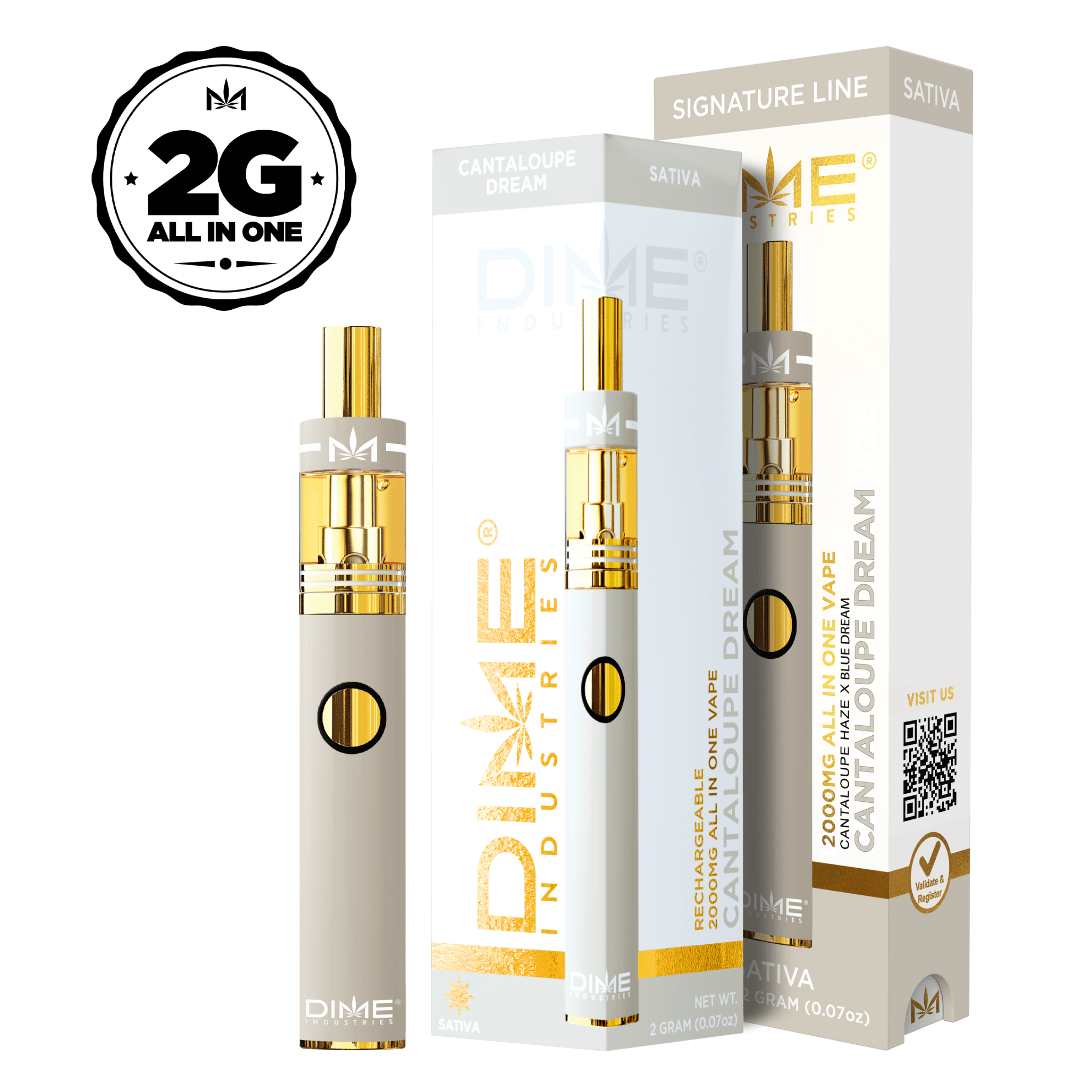 DIME CANTALOUPE DREAM DISPOSABLE 2G