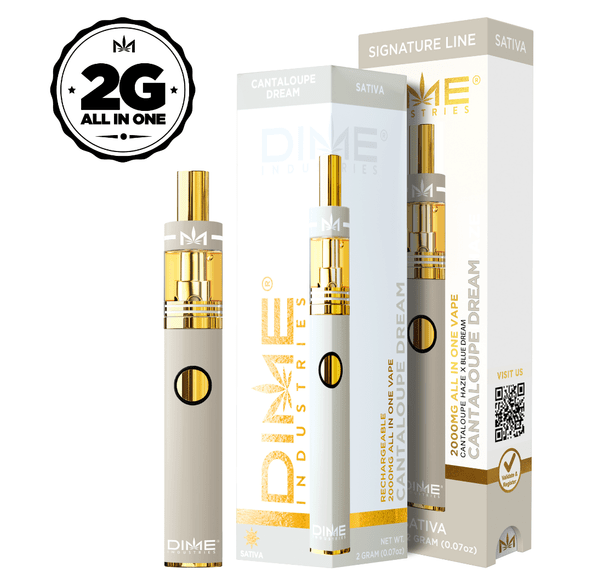 DIME CANTALOUPE DREAM DISPOSABLE 2G