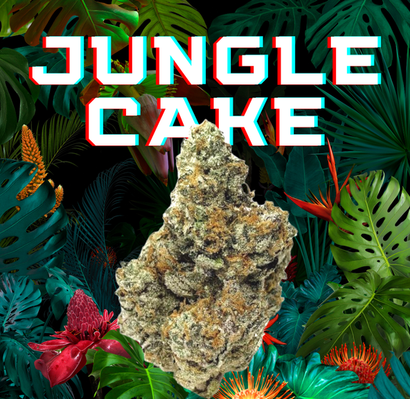 DAZE - Jungle Cake (3.5g)