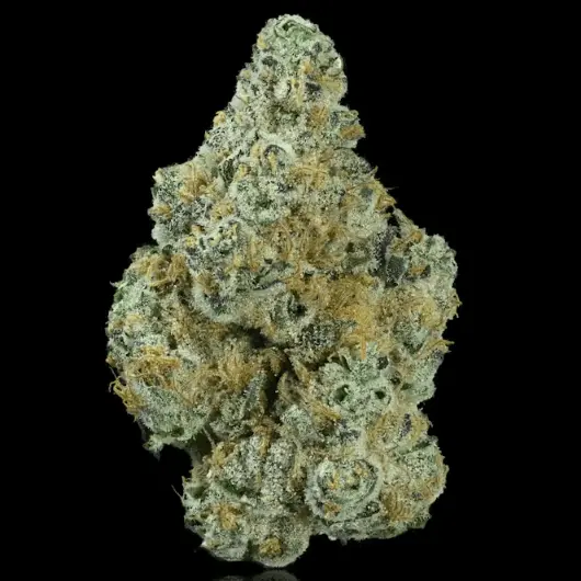 Garlic Ghost | Flower 3.50 g