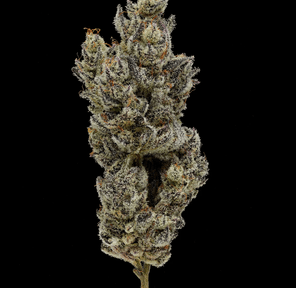 Holy Moly! 3.5g 3.50 g