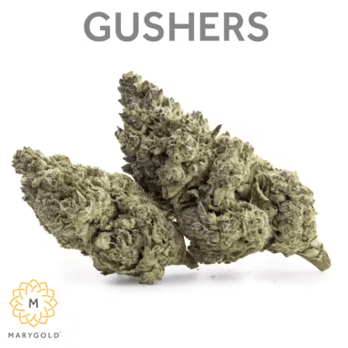 Marygold - Gushers (Indica) 3.5g