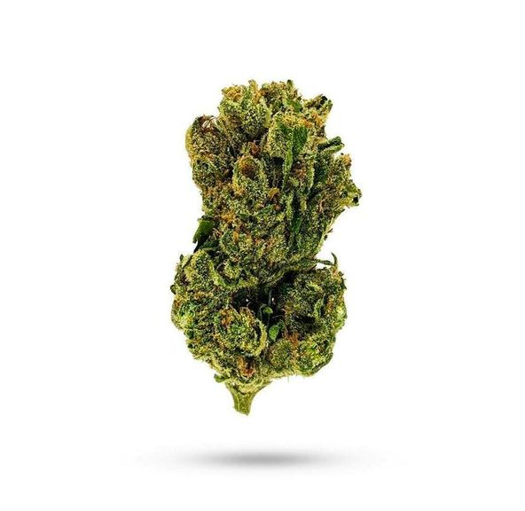 Chili Verde - Exotics
