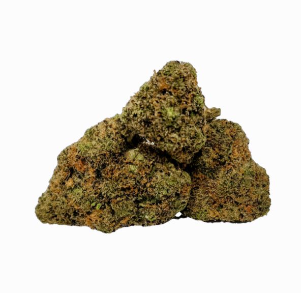 Critical Jack