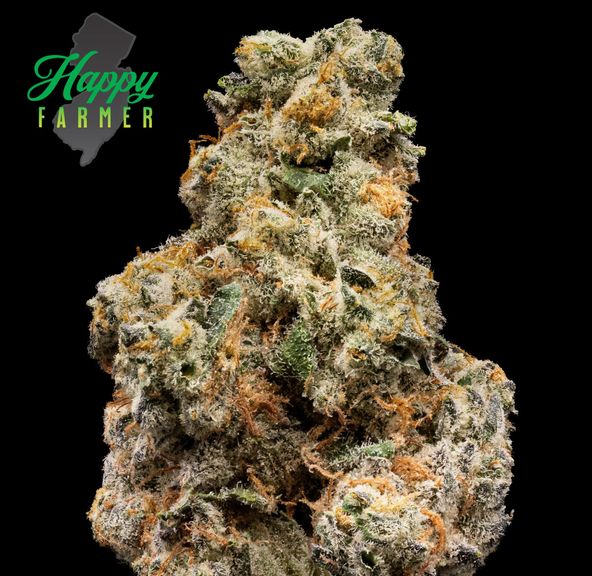 The Happy Farmer | Girl Scout Cookies | 3.5g Flower