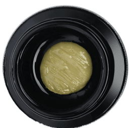 MASTER MAKERS CCLRR 1G- CANNA COUNTRY 38