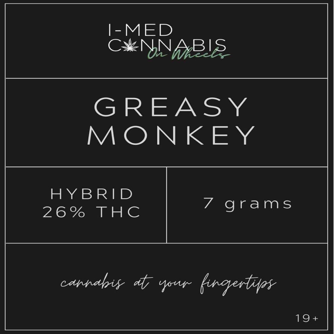 Greasy Monkey