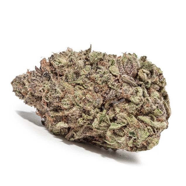 Black Mamba $100