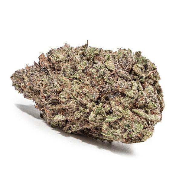 Black Mamba $100