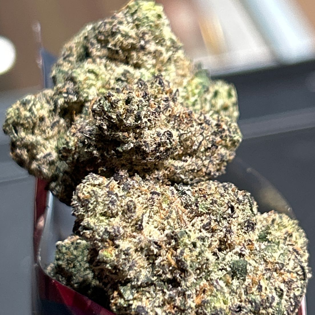 Chemmy Grape - Flower