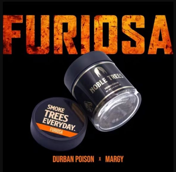 Furiosa (Sativa) - Premium Indoor Flower