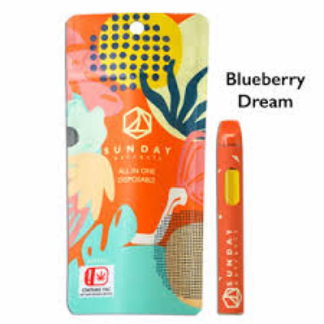 2g All In One - Distillate - Blueberry Dream