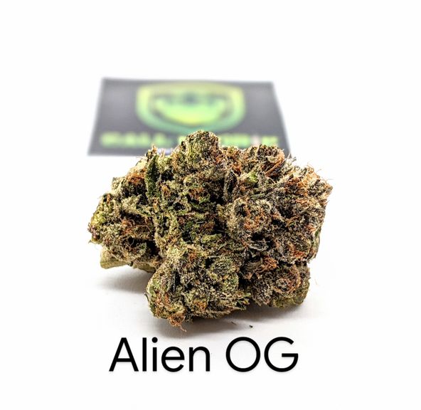 [AAAAA] Alien OG (LOUD) ***NEW***