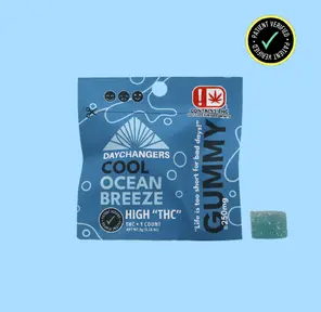 DAY CHANGERS COOL OCEAN BREEZE SINGLE SERVE GUMMY 250MG