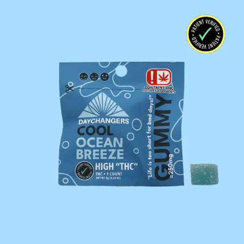 DAY CHANGERS COOL OCEAN BREEZE SINGLE SERVE GUMMY 250MG
