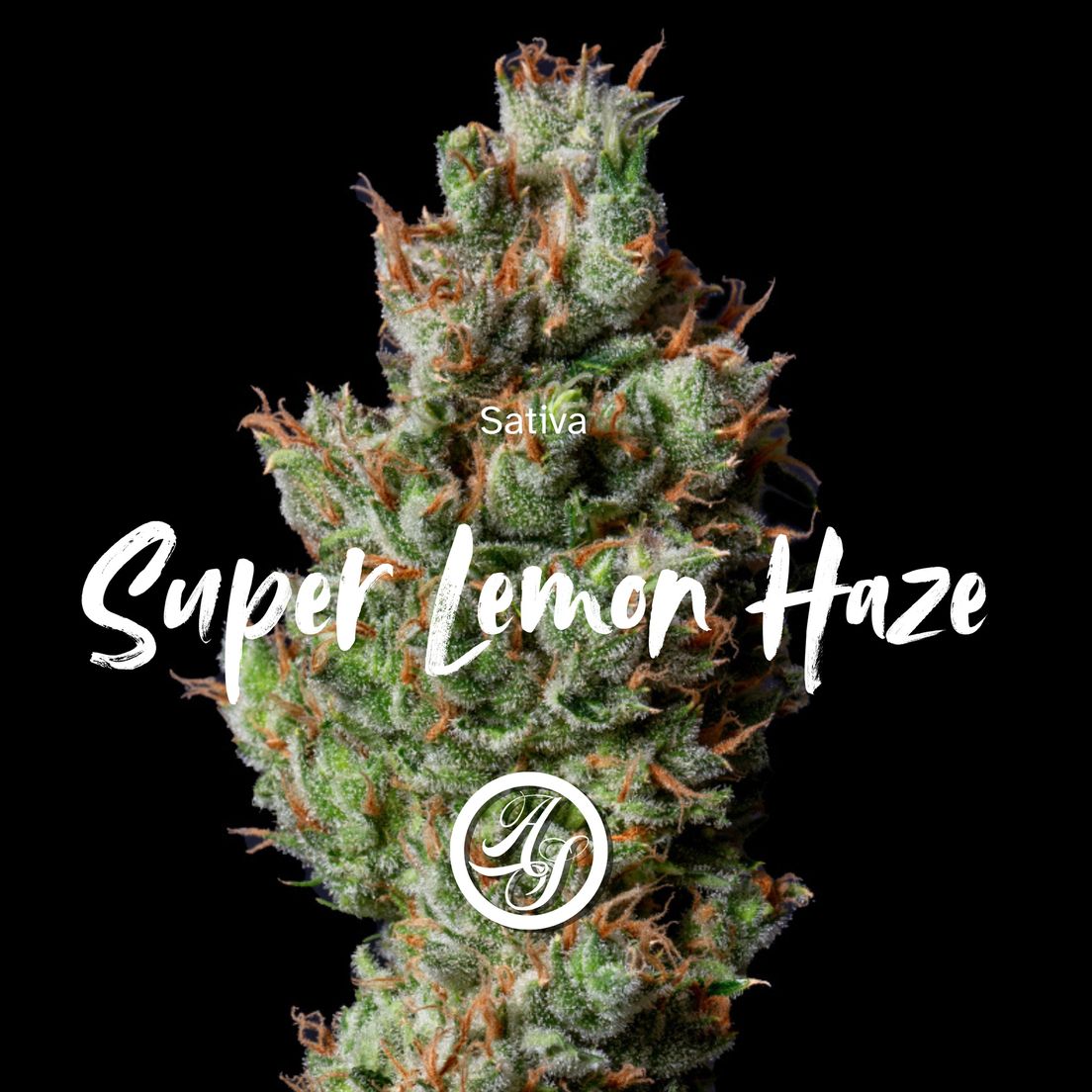 Alt Sol | Super Lemon Haze - Flower | 1g | Sativa