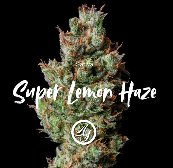 Alt Sol | Super Lemon Haze - Flower | 1g | Sativa