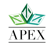 Apex Extracts - Cured Resin - Chauffeur - 1g