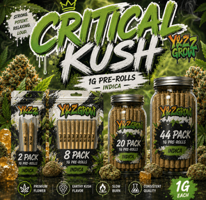 Critical Kush 1G Pre-Rolls (I)
