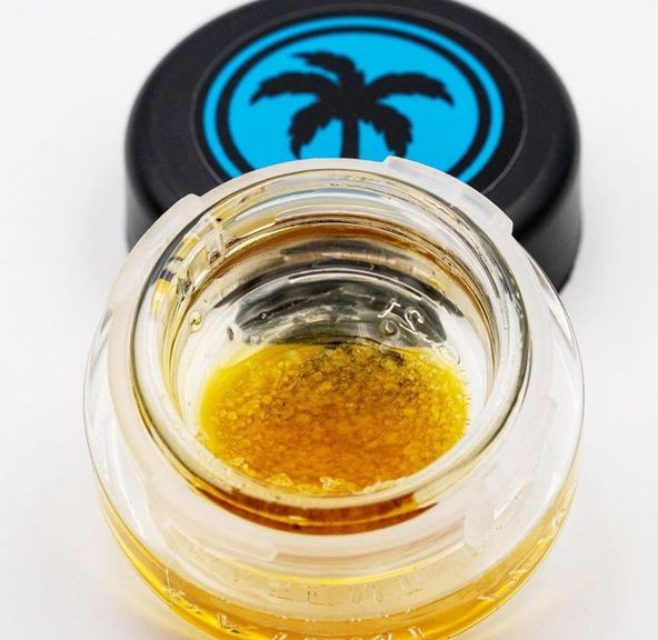 Connected Sugar Cone X Biscotti SAUCE1g