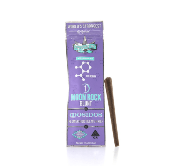 Blunt - XJ13