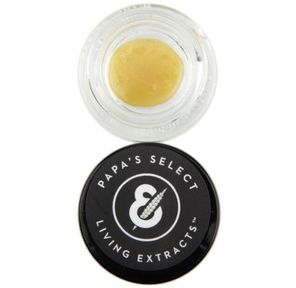 Meat Breath Live Rosin Badder from Papa Select