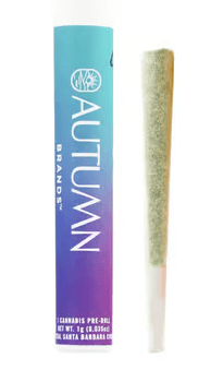 AUTUMN BRANDS SUGAR COOKIES 1G PRE-ROLL INDICA