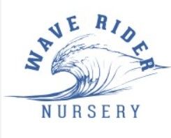 Wave Rider Nursery - Chemdawg - 14g - Sativa