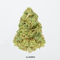 Almora Farm - Hindu Kush - 28g