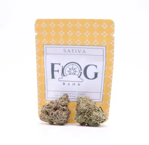 Fog Bank - MELONADE 1G